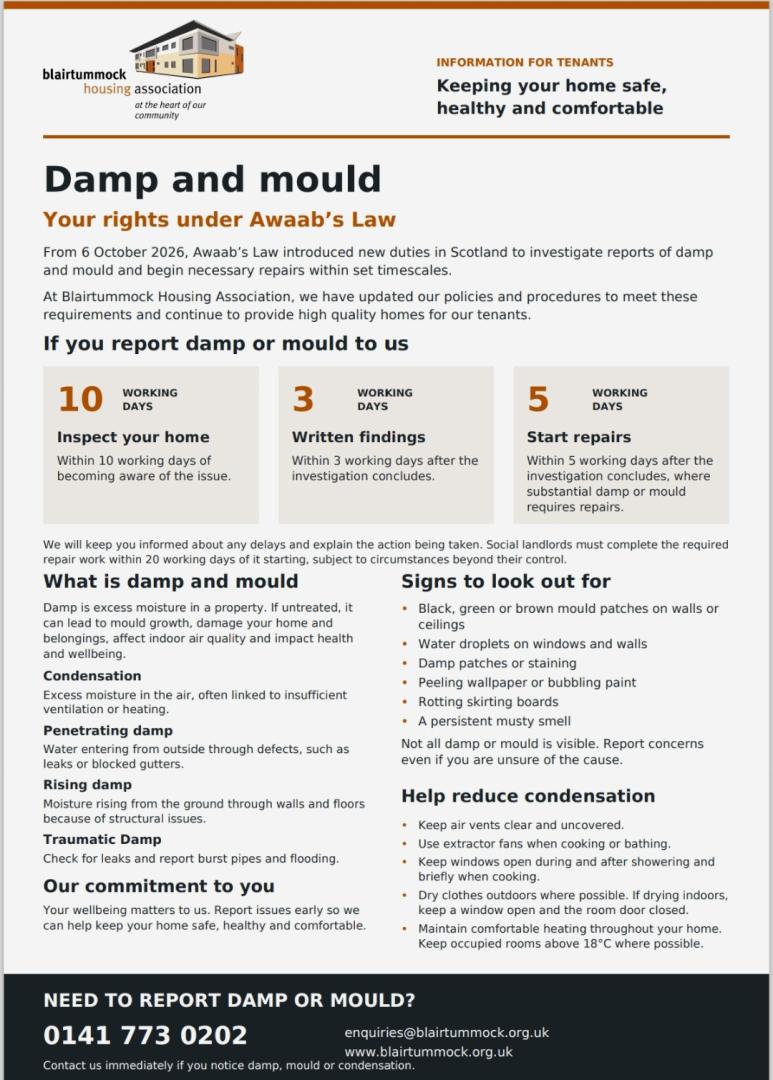 Damp and Mould Poster - October 2026